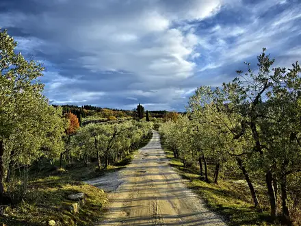 Chianti Trail