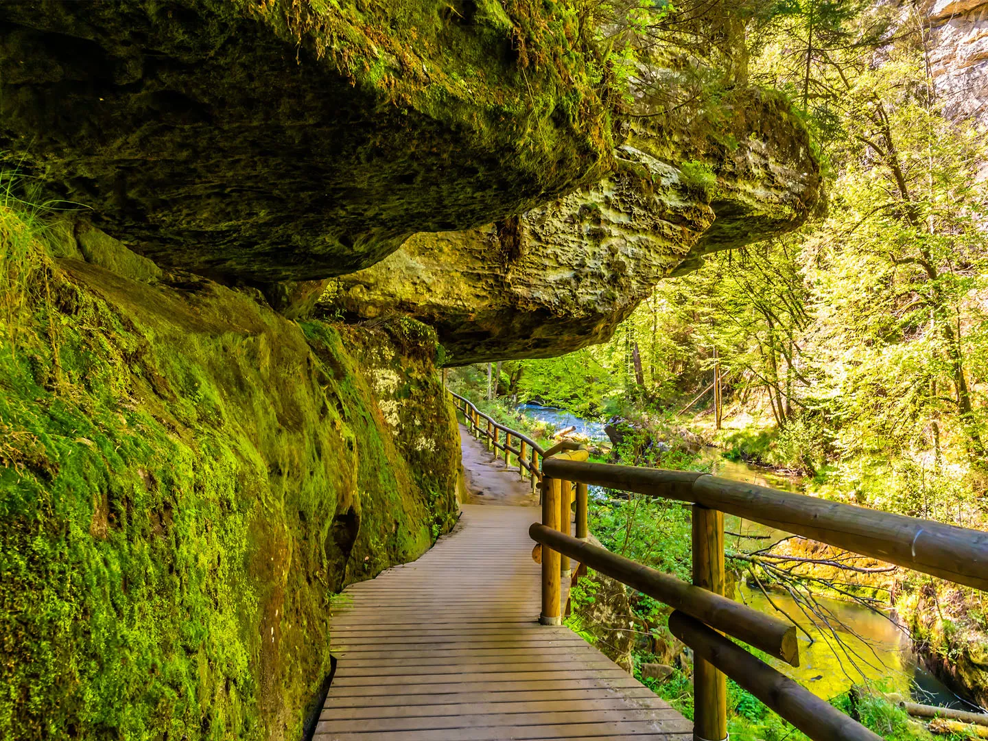 Edmund's Gorge to Hřensko