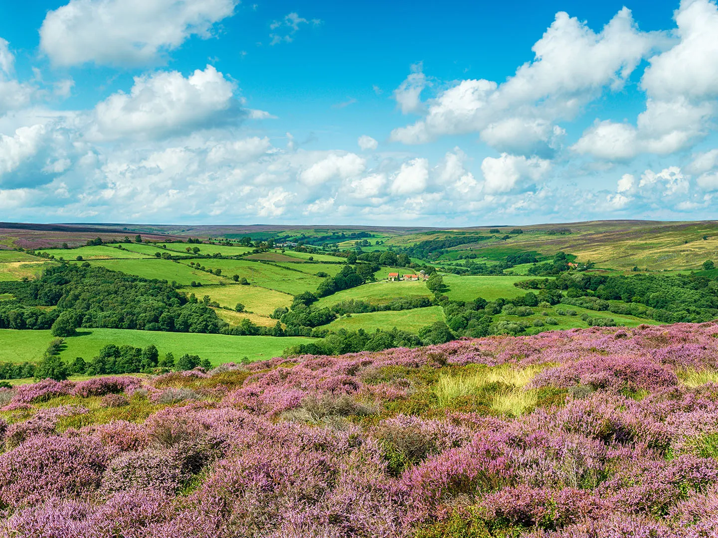 Esk Valley Walk