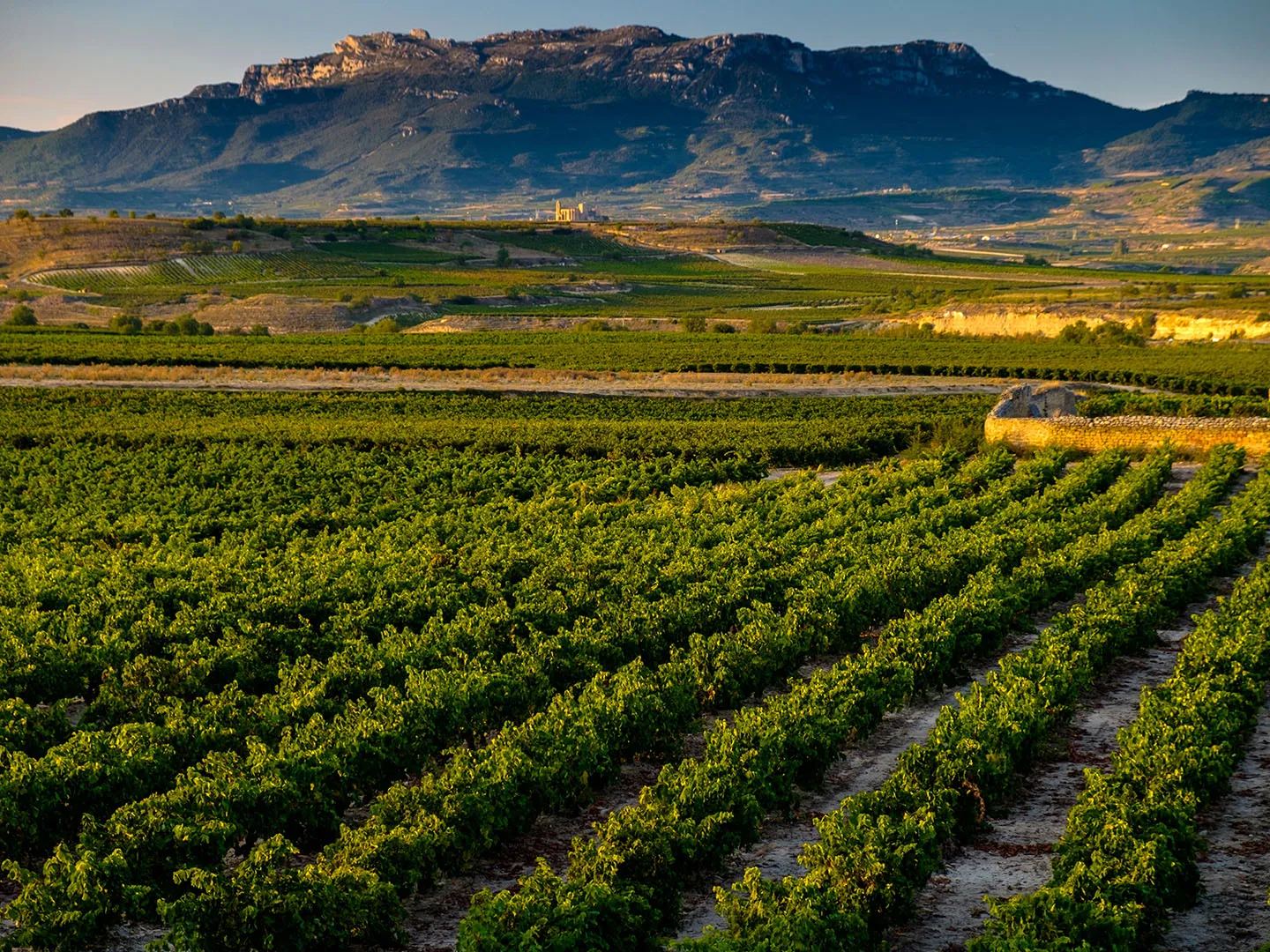 GR38 (Wine and Fish Route)