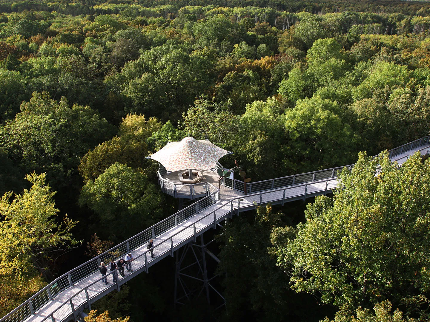 Hainich National Park Trail