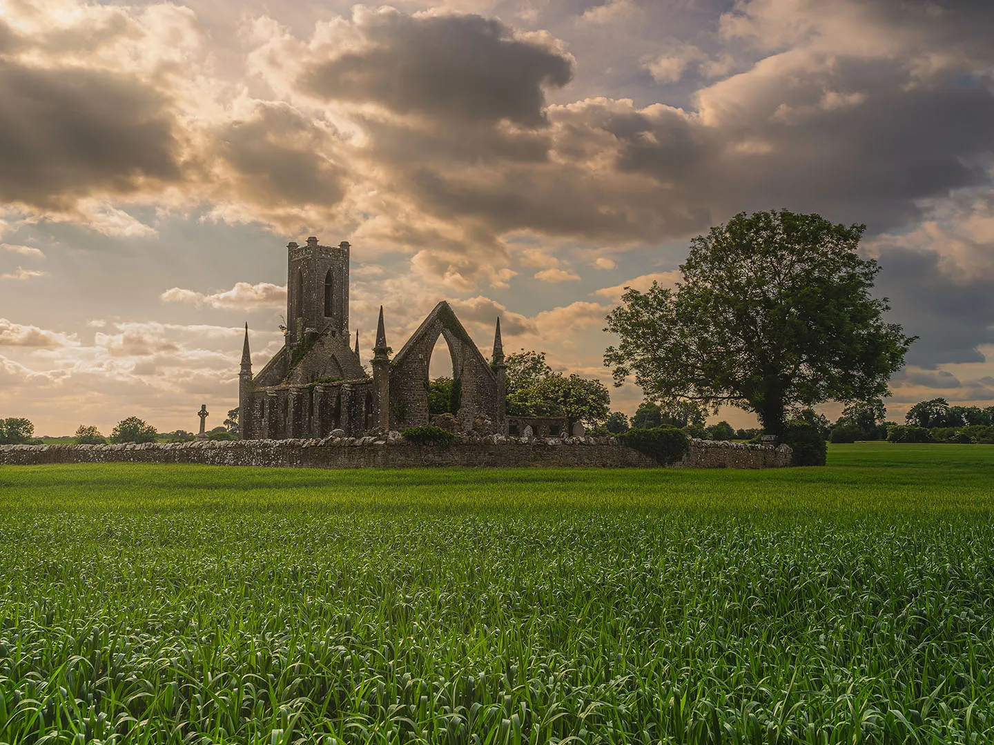 Kildare Monastic Trail
