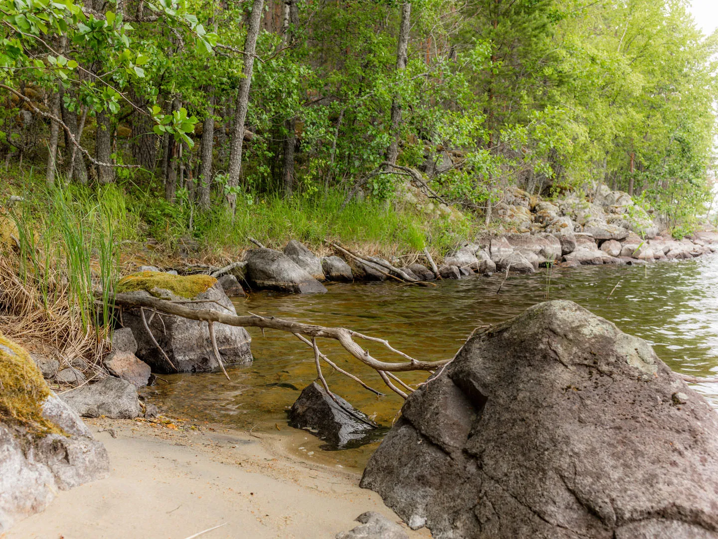 Linnansaari National Park Trail