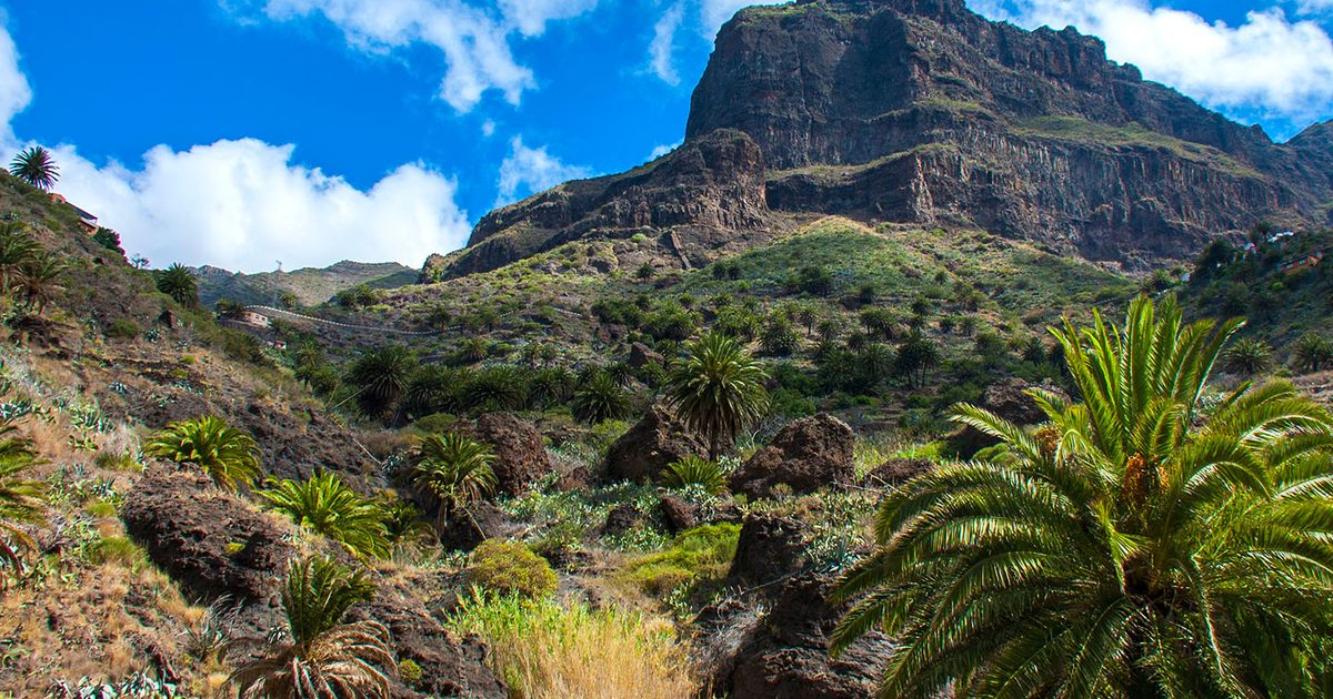Masca Gorge Trail Guide: Tenerife Hike & Permits - HikeList