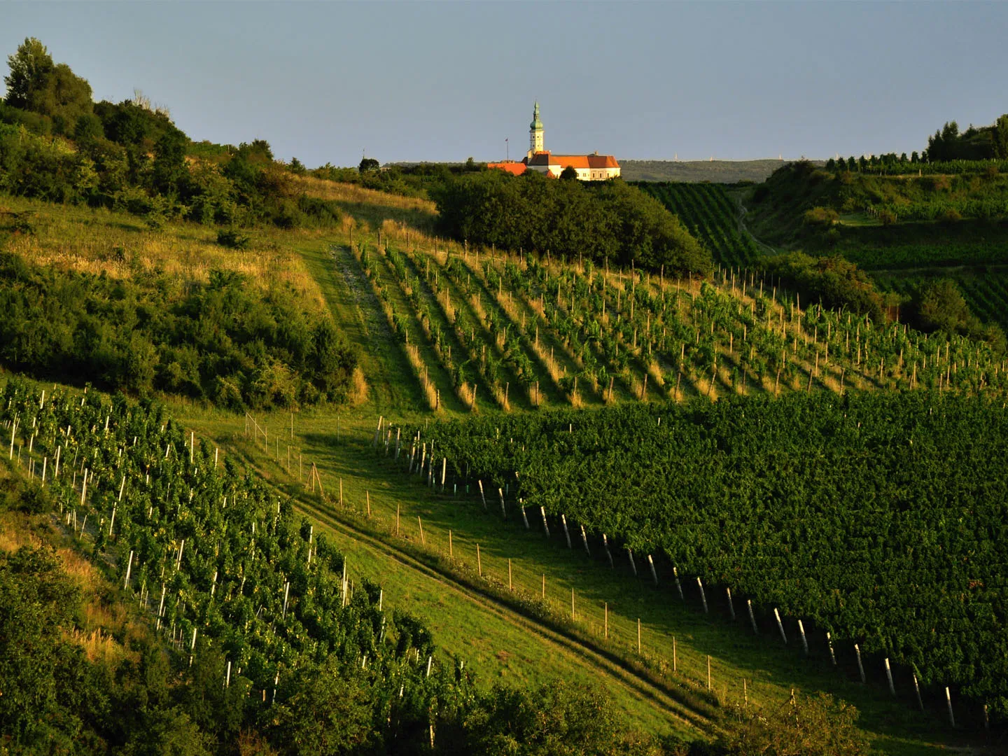 Mikulov Wine Trail