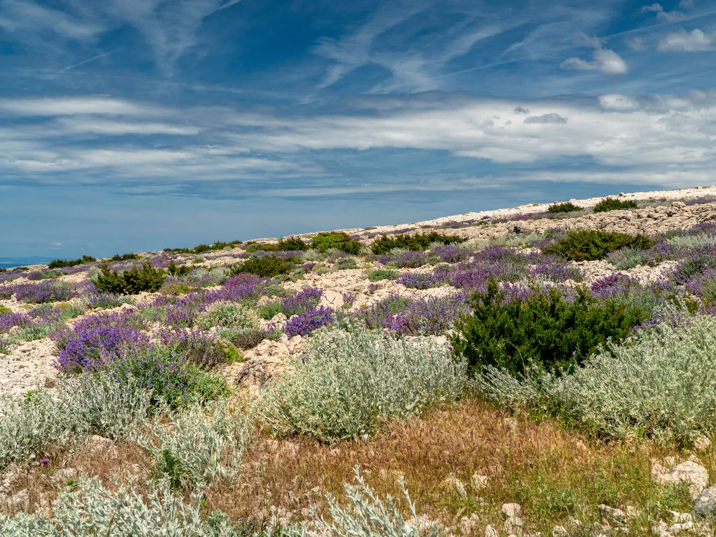 Pag Island Moon Trail