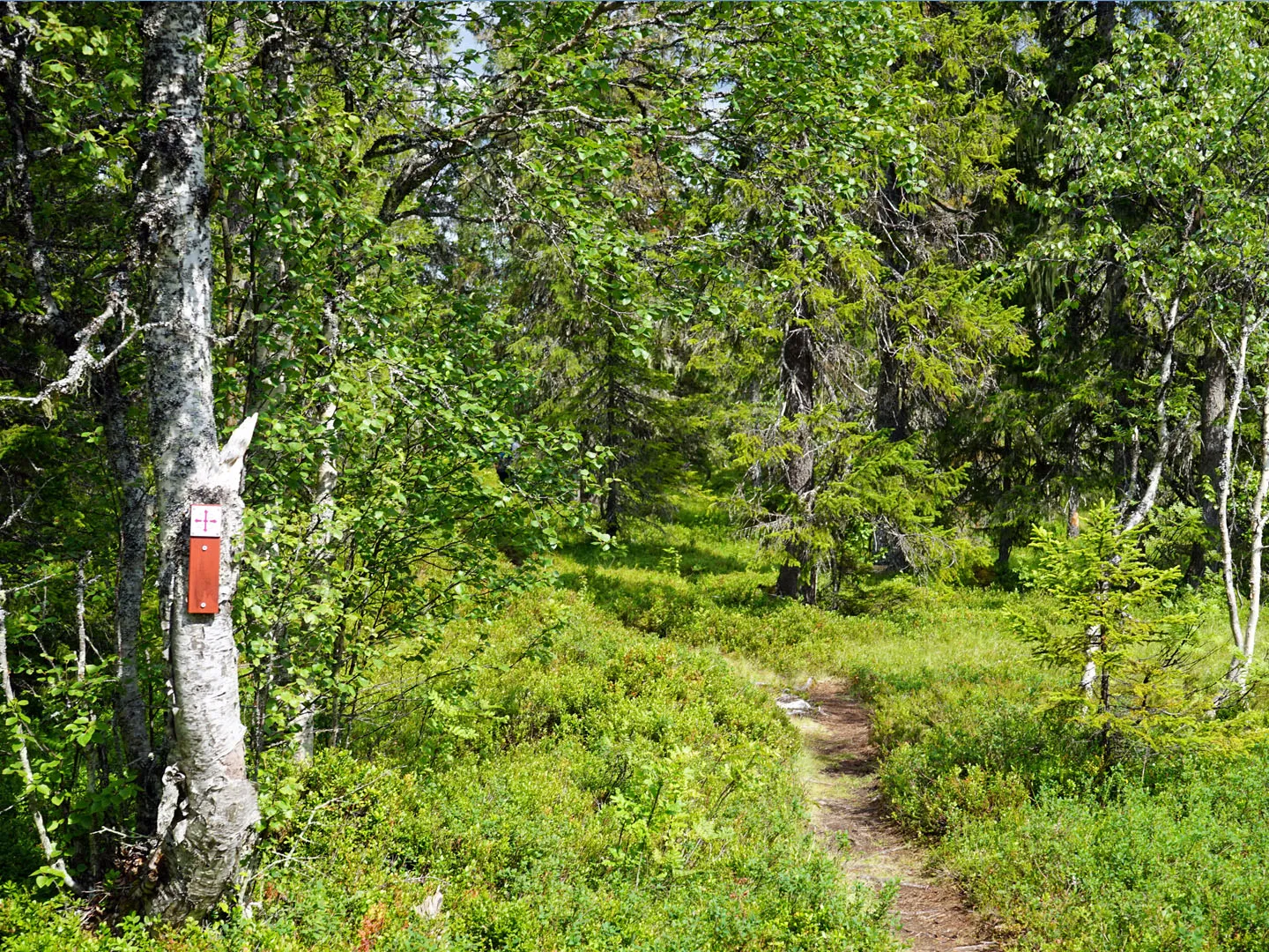 Pilgrimsleden (St. Olav’s Way)