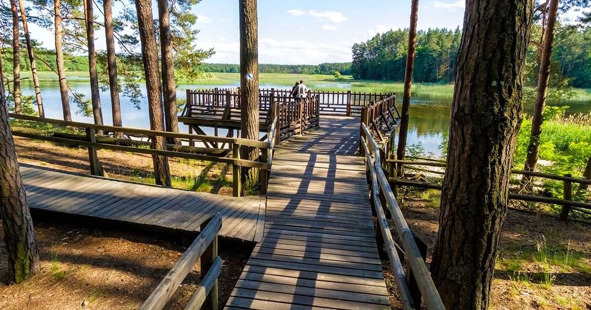 Las Roztocze Roztocze National Park Trail Guide, Poland - HikeList
