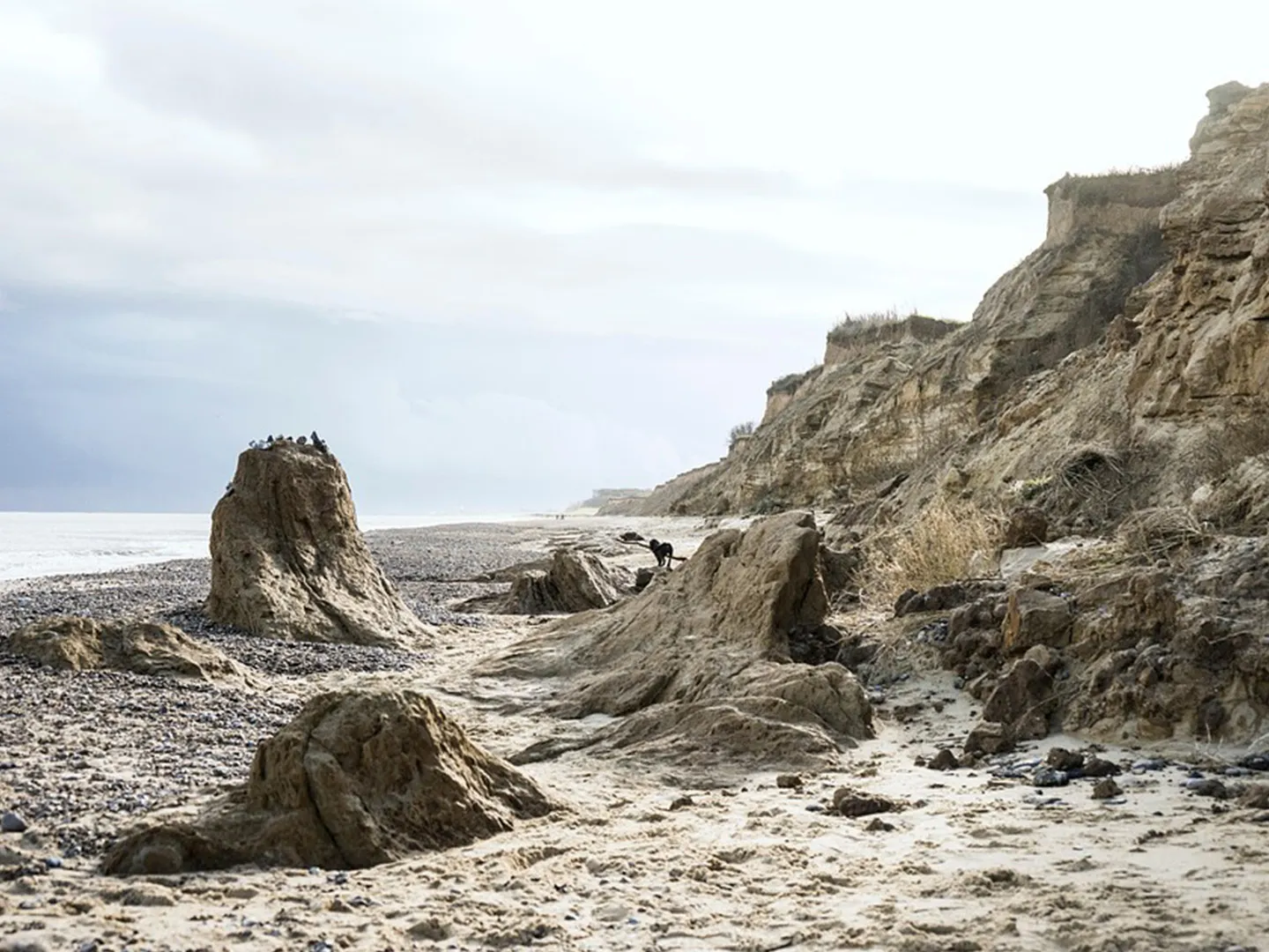 Sandlings Walk