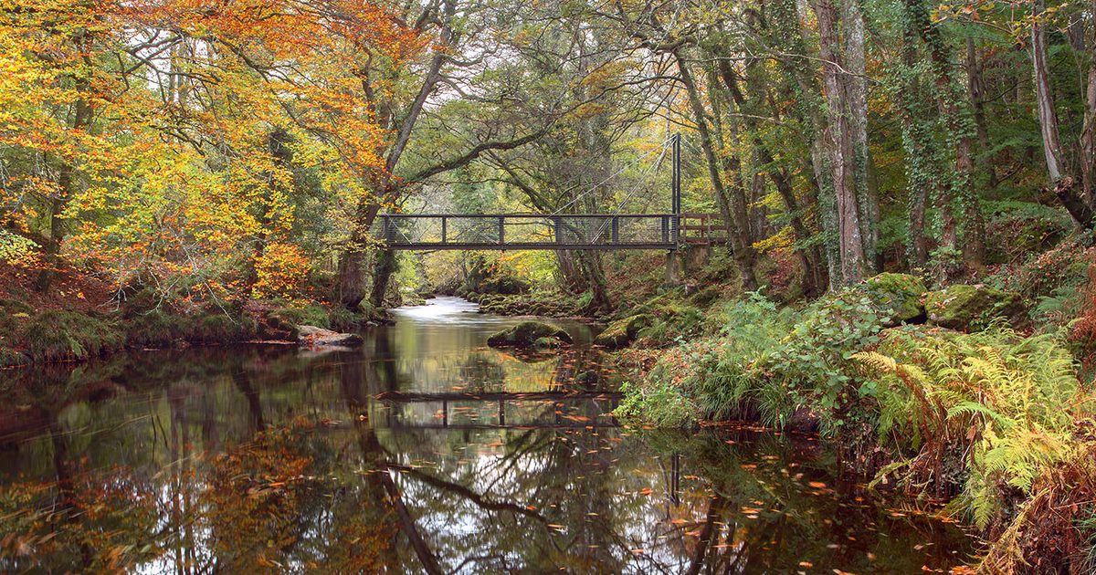 The Teign Gorge Walk: Castle Drogo Circuit, Dartmoor - HikeList