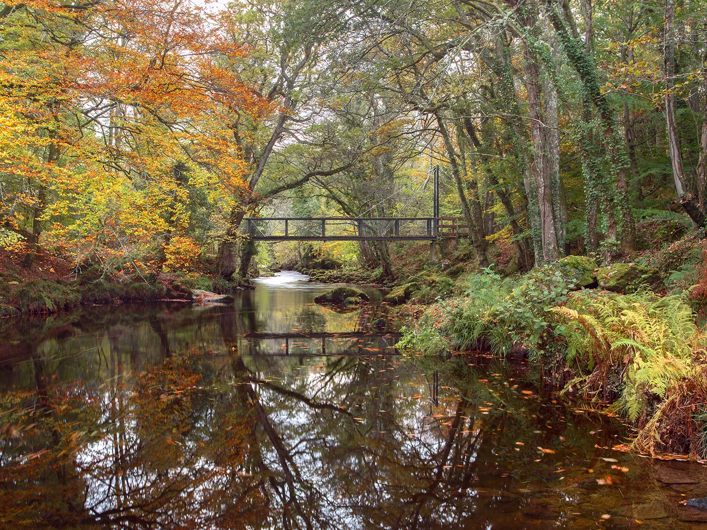 The Teign Gorge Walk