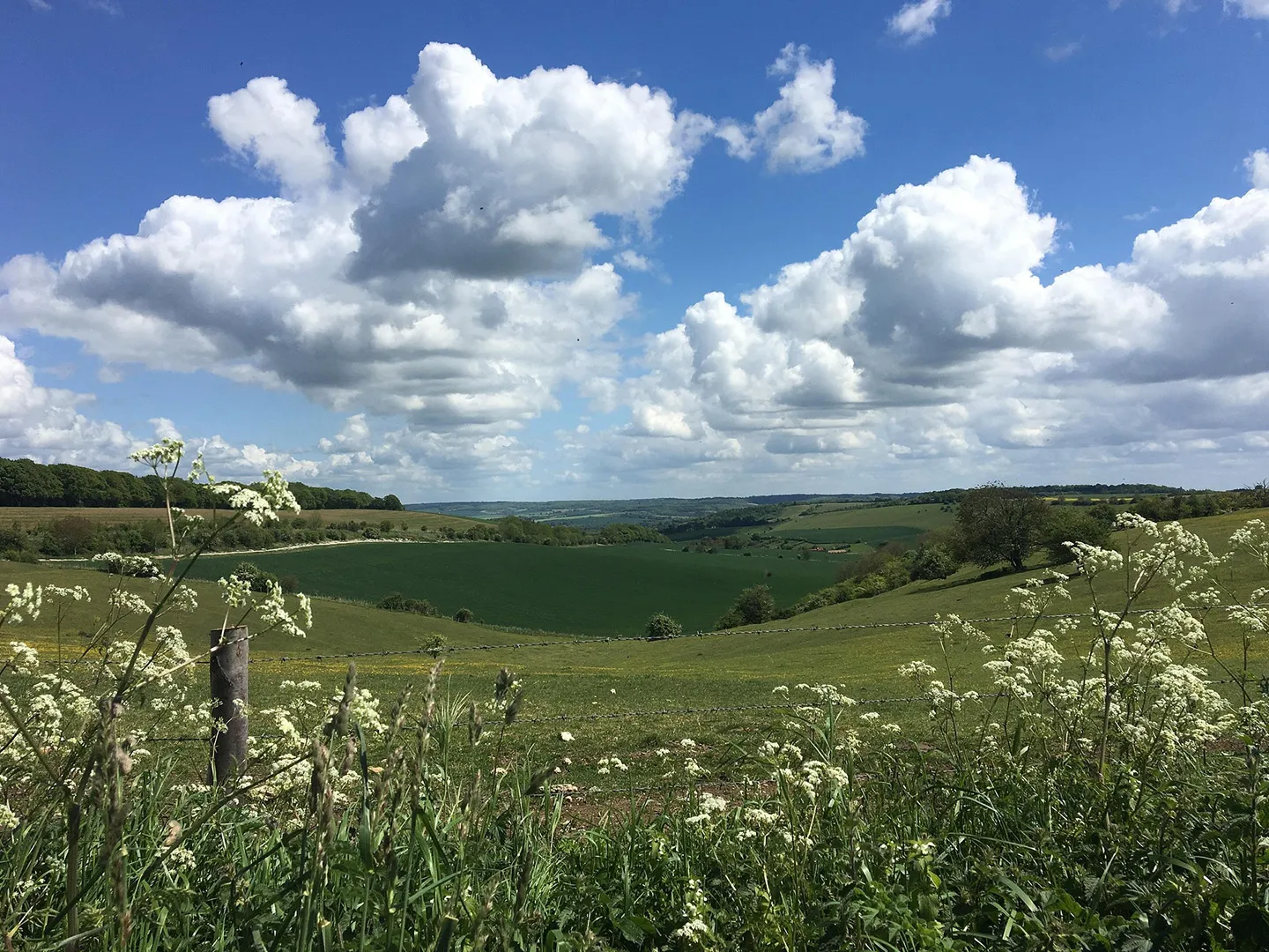 Wessex Ridgeway