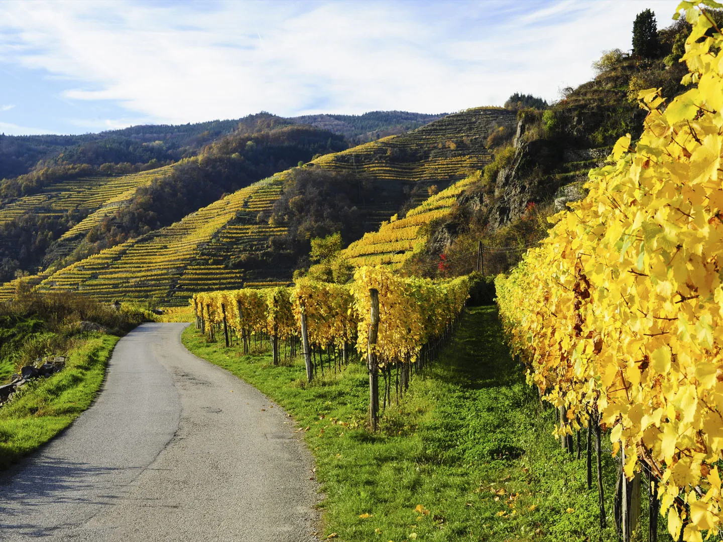 World Heritage Trail Wachau