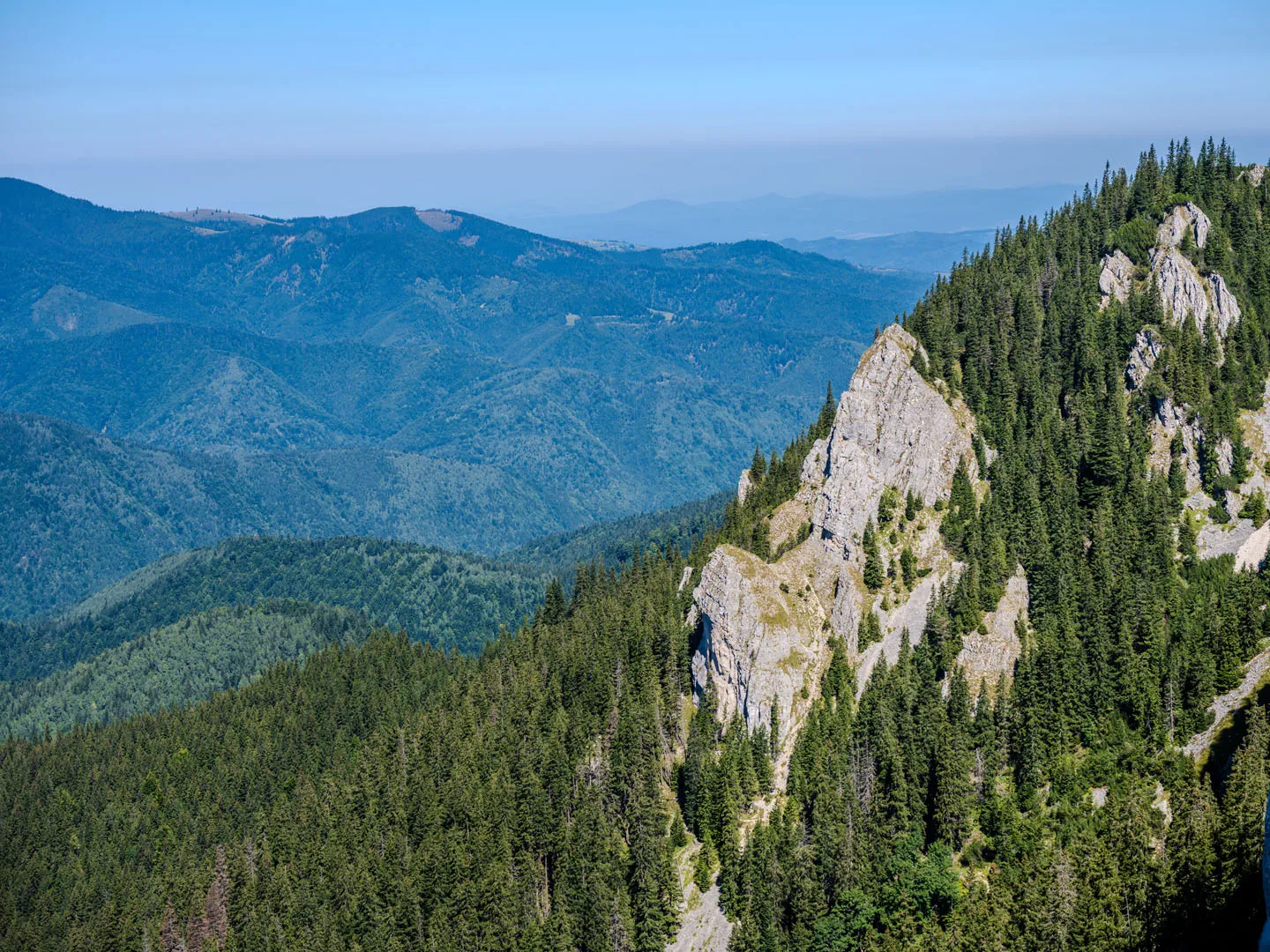 Zărnești Gorge Trail